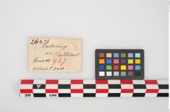 Etikett zu Bronzemehrkopfnadel (NHMW-PRAE-026471)